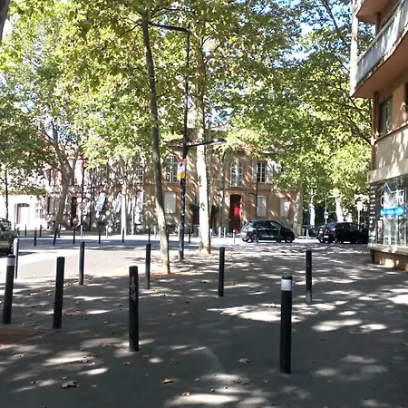 Le Pastel Francois Verdier Daire Toulouse