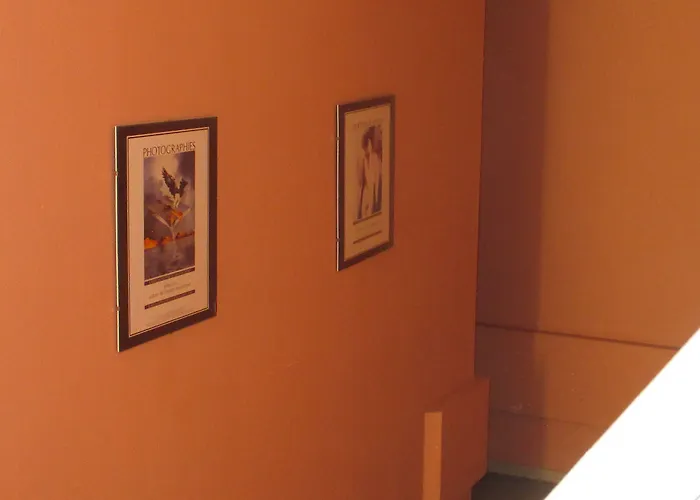 Le Pastel Francois Verdier *