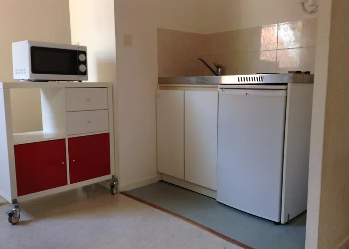 Le Pastel Francois Verdier