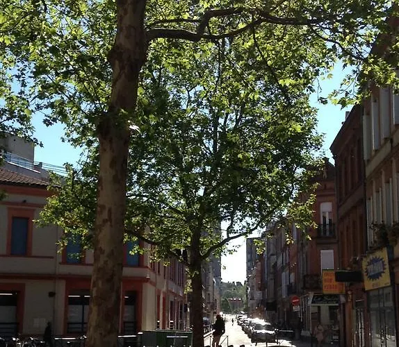 Le Pastel Francois Verdier