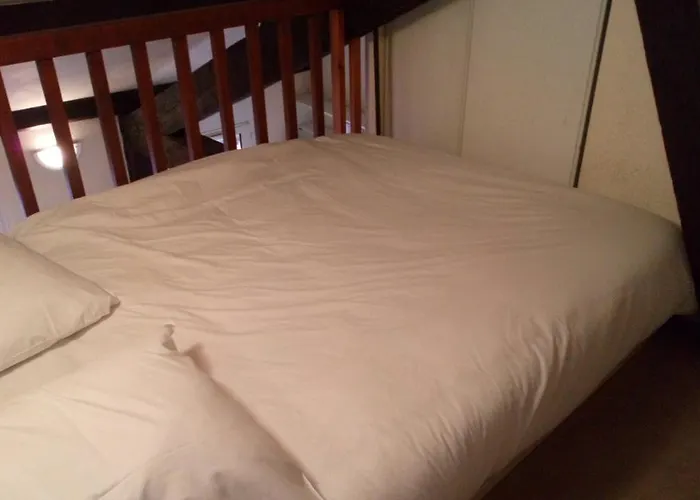 Le Pastel Francois Verdier Апартаменты *