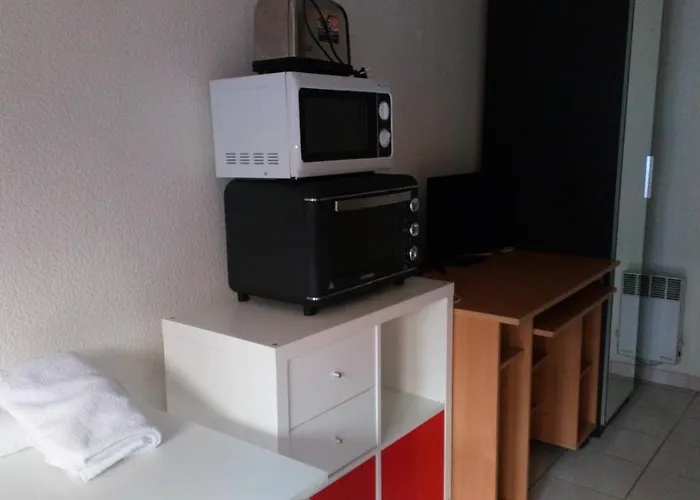 Le Pastel Francois Verdier