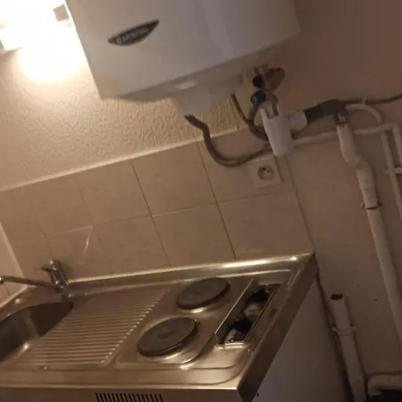 Le Pastel Francois Verdier *